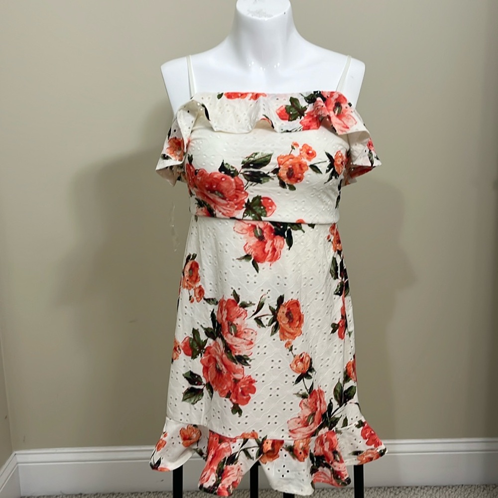 Francesca's White Floral Dress